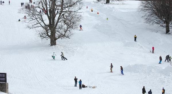 [info] La schi pe pârtiile din Sovata